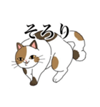 脱力系三毛猫の自由な日常（個別スタンプ：7）