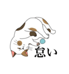 脱力系三毛猫の自由な日常（個別スタンプ：9）
