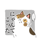 脱力系三毛猫の自由な日常（個別スタンプ：10）