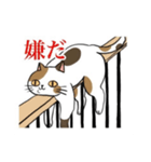 脱力系三毛猫の自由な日常（個別スタンプ：11）