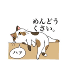 脱力系三毛猫の自由な日常（個別スタンプ：16）