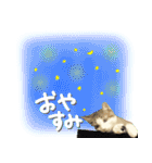 毎日にゃんこスタンプ。（個別スタンプ：2）