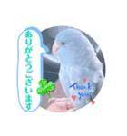 マメルリハ達10（個別スタンプ：3）