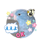 マメルリハ達10（個別スタンプ：4）