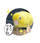 マメルリハ達10（個別スタンプ：5）