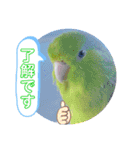 マメルリハ達10（個別スタンプ：6）