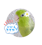 マメルリハ達10（個別スタンプ：10）