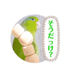 マメルリハ達10（個別スタンプ：14）