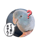マメルリハ達10（個別スタンプ：16）