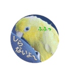 マメルリハ達10（個別スタンプ：21）