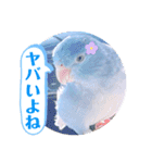 マメルリハ達10（個別スタンプ：24）