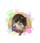ねこねこぴのこ6（個別スタンプ：6）