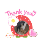 ねこねこぴのこ6（個別スタンプ：24）