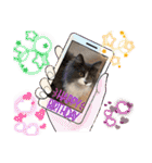 ねこねこぴのこ6（個別スタンプ：26）