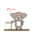 ふわっとチワワ（個別スタンプ：23）