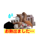 いろちゃん専用2（個別スタンプ：8）