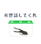 【ちょいネガティブ】昆虫たちのつぶやき（個別スタンプ：23）