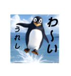 ペンギンのつぶやき6（個別スタンプ：18）