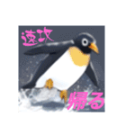 ペンギンのつぶやき6（個別スタンプ：31）