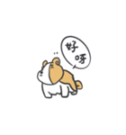Hua Chai Kun（個別スタンプ：19）