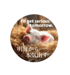 目の保養になるメッセージ③（個別スタンプ：6）