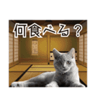 シェリーにゃんver2（個別スタンプ：24）