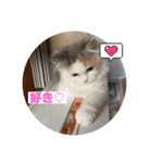 もっちゃみスタンプ（個別スタンプ：10）