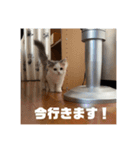 もっちゃみスタンプ（個別スタンプ：21）