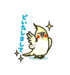 かわいい！オカメインコスタンプ ルチノー（個別スタンプ：9）