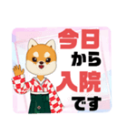 病院.入院生活②犬好きさんの連絡 大文字（個別スタンプ：2）