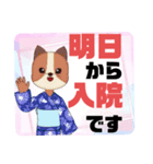 病院.入院生活②犬好きさんの連絡 大文字（個別スタンプ：3）