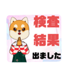 病院.入院生活②犬好きさんの連絡 大文字（個別スタンプ：5）