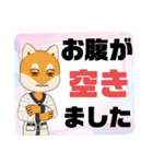 病院.入院生活②犬好きさんの連絡 大文字（個別スタンプ：11）