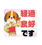 病院.入院生活②犬好きさんの連絡 大文字（個別スタンプ：13）