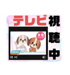 病院.入院生活②犬好きさんの連絡 大文字（個別スタンプ：18）