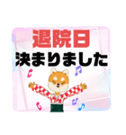 病院.入院生活②犬好きさんの連絡 大文字（個別スタンプ：39）