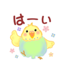 家族の連絡☆ 仲良しインコさん（個別スタンプ：6）