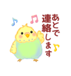 家族の連絡☆ 仲良しインコさん（個別スタンプ：16）