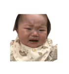 chobiko_1（個別スタンプ：13）