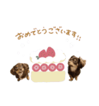 かほ様（個別スタンプ：1）