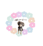 かほ様（個別スタンプ：3）