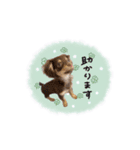 かほ様（個別スタンプ：5）
