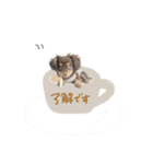 かほ様（個別スタンプ：6）