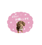 かほ様（個別スタンプ：7）