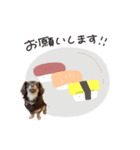 かほ様（個別スタンプ：8）