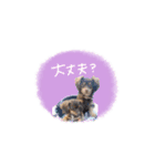 かほ様（個別スタンプ：9）