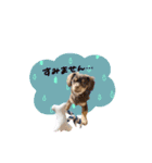 かほ様（個別スタンプ：10）