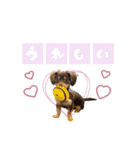 かほ様（個別スタンプ：12）