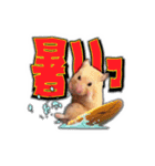 HamPacino（ハムパチーノ） 3（個別スタンプ：3）