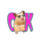 HamPacino（ハムパチーノ） 3（個別スタンプ：4）